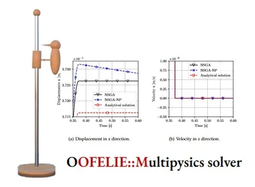NSGA solver implementation in Oofelie