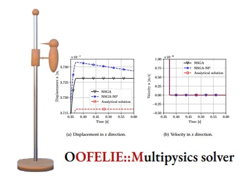 NSGA solver implementation in Oofelie